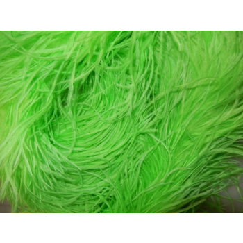 0027 - Strusie piora - jasno zielony - odcinek 0 20 m