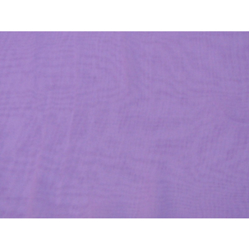 Żorżeta jasno liliowa II