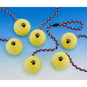 Piłka tenisowa z linką do rzucania