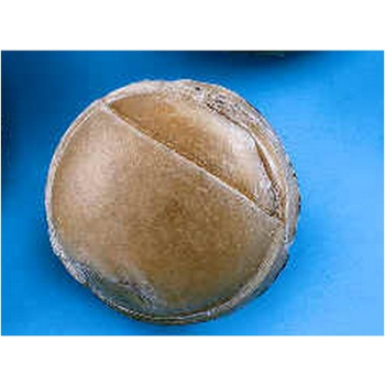 Piłka  - średnica 5cm  70g - op. 10 szt.