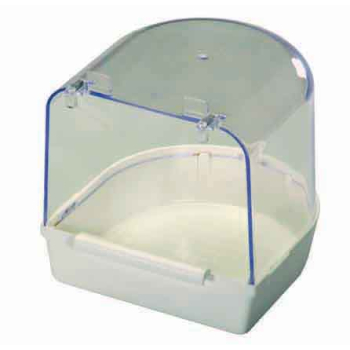 Basenik średni - biały